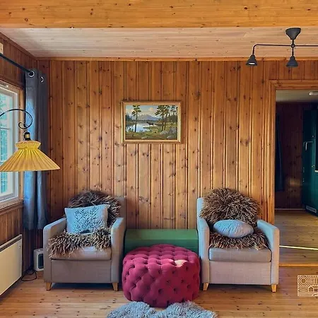 Original Olympic In Out Hafjell Hunder