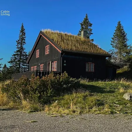 Дом отдыха Original Olympic In Out Hafjell