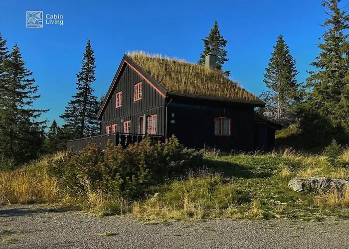 Σπίτι διακοπών Original Olympic In Out Hafjell
