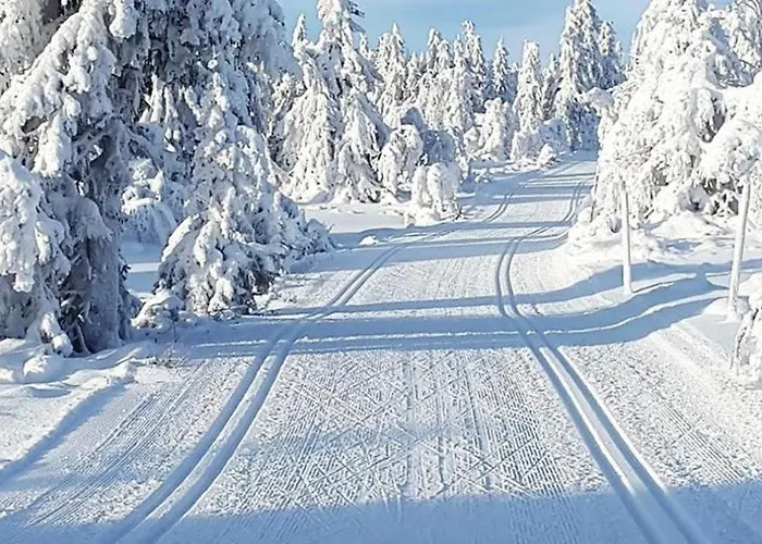 Original Olympic In Out Hafjell