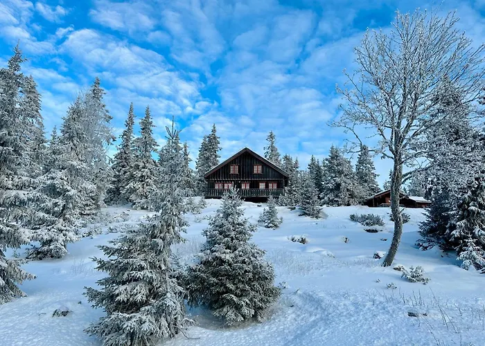 Original Olympic In Out Hafjell Сasa de vacaciones