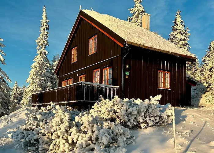 Original Olympic In Out Hafjell *