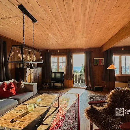 Original Olympic In Out Hafjell * Hunder