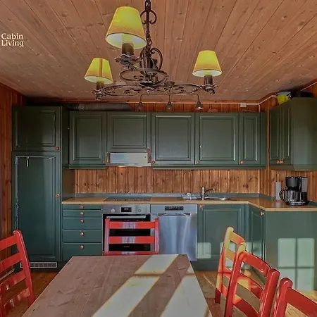 Original Olympic In Out Hafjell Casa vacanze Hunder