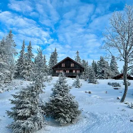 Original Olympic In Out Hafjell Casa vacanze