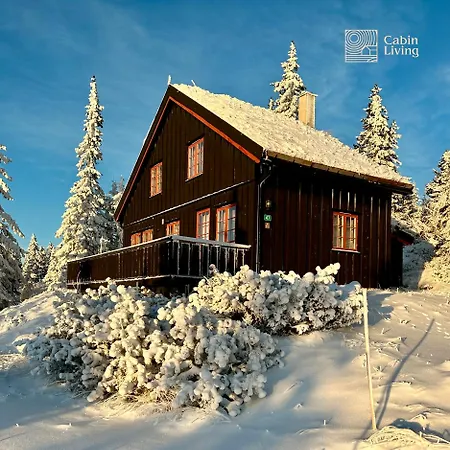 Original Olympic In Out Hafjell *